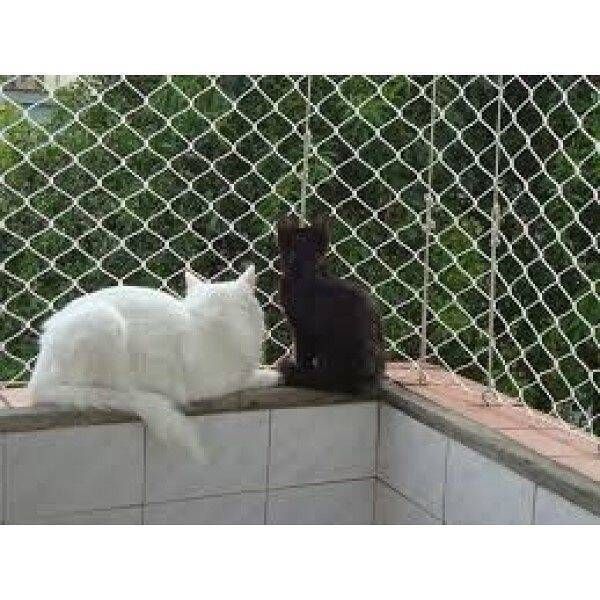 rede de proteção pets bh