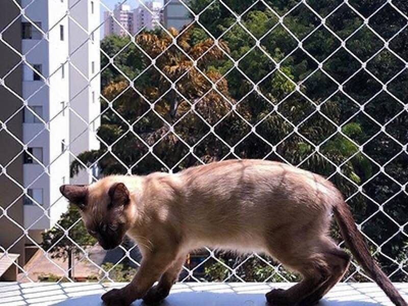 redes em janelas para gatos bh