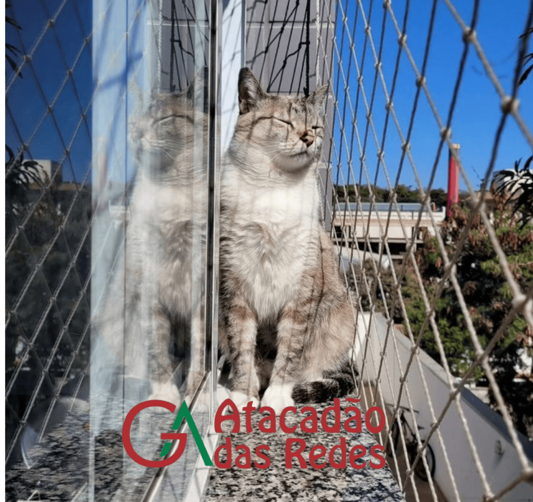 redes proteção gatos bh