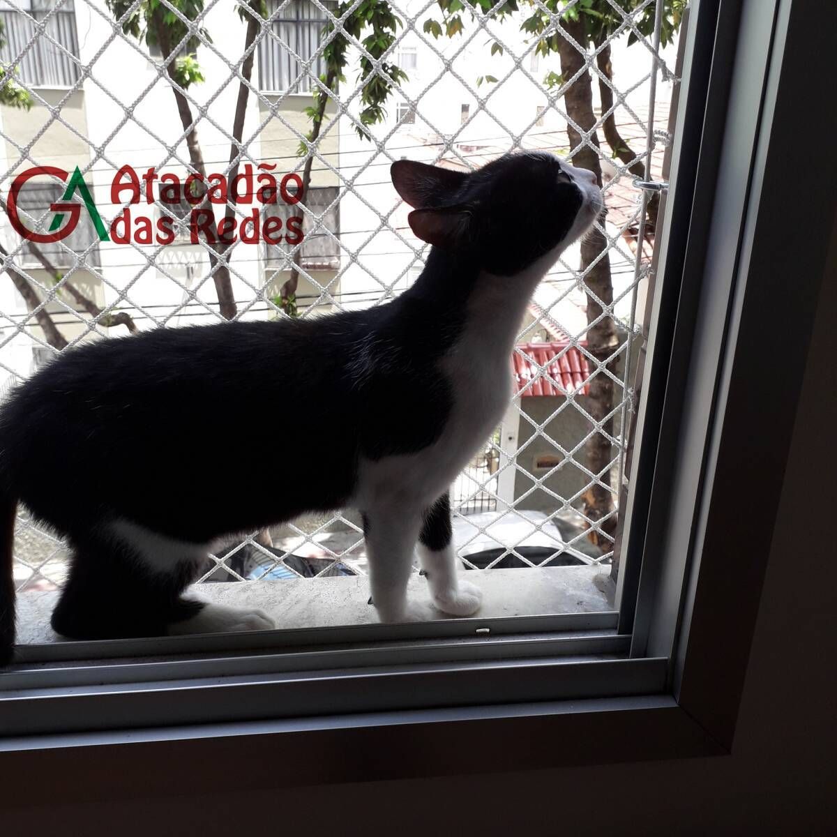 redes de proteção para gatos
