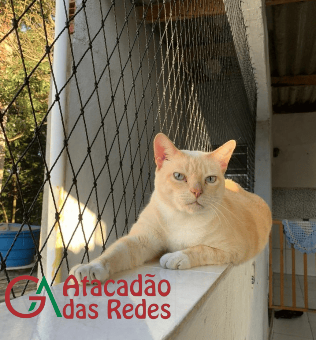 REDES DE PROTEÇÃO PARA GATOS BH - Foto 7