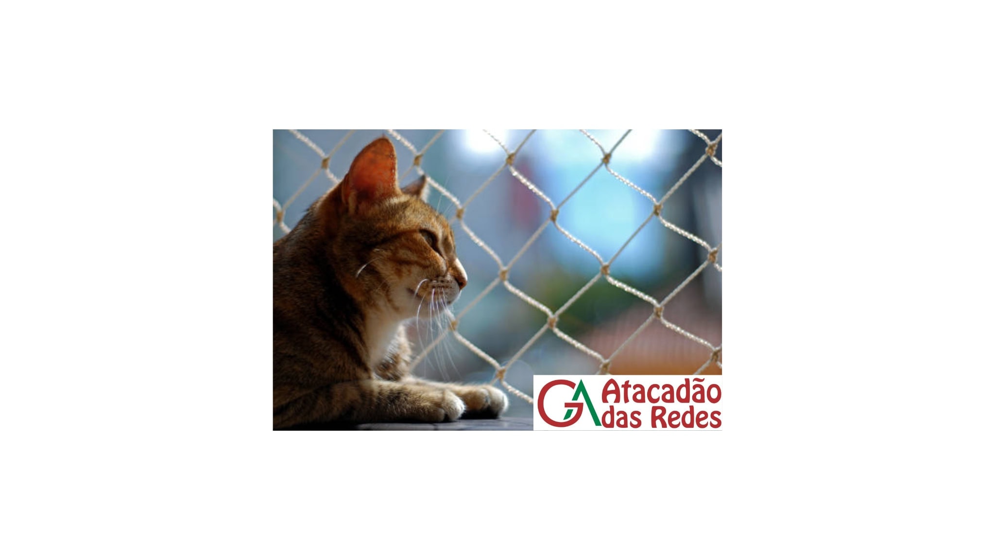 redes de proteção bh