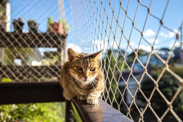 Telas de proteção para gatos Castelo
