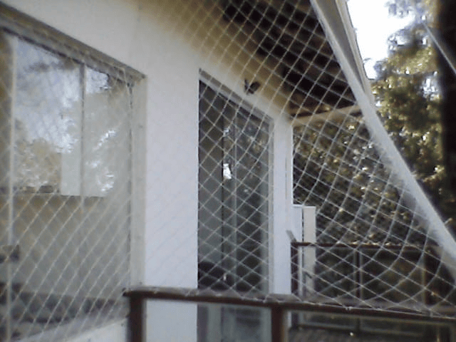 telas de proteçao bh